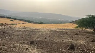 Land for sale in Umm Qais – photo 2