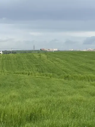 Land for sale in Petra Street – photo 2