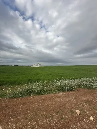 Land for sale in Petra Street – photo 4