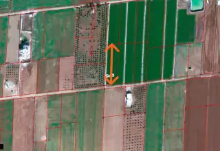 Land for sale in Petra Street – photo 9