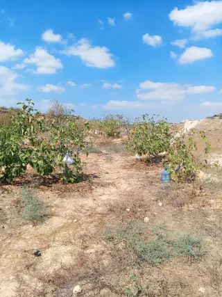 أرض للبيع في Hofa – صورة 4