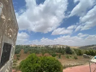 Land for sale in Kitim – photo 3