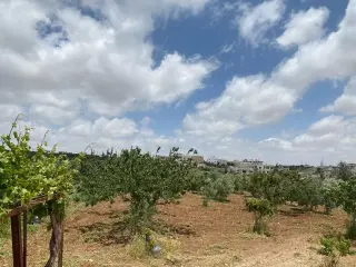 Land for sale in Kitim – photo 2