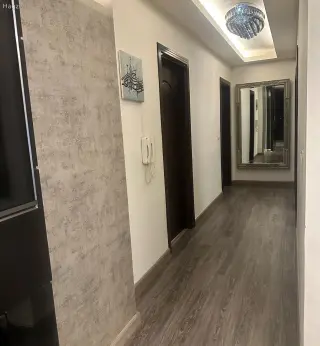 الصورة 2 من 12