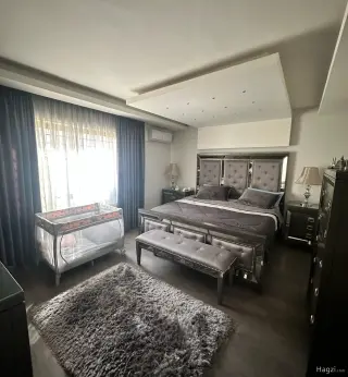 الصورة 10 من 12
