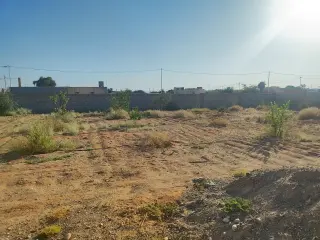 Land for sale in Other – photo 10