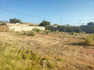 Land for sale in Other – photo 3