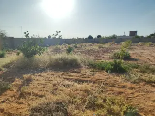 Land for sale in Other – photo 6