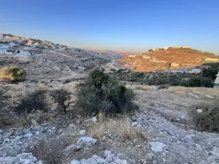 Land for sale in Al Balqa' – photo 3