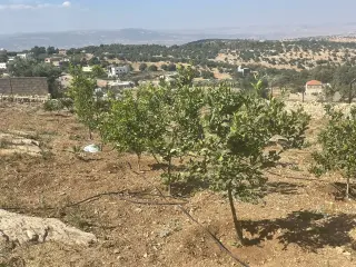 Land for sale in Al Balqa' – photo 6