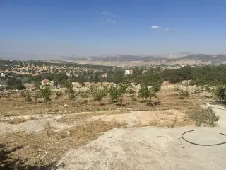 Land for sale in Al Balqa' – photo 4
