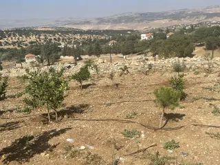 Land for sale in Al Balqa' – photo 3