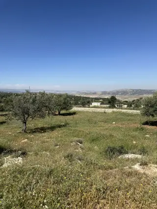 Land for sale in Other – photo 5