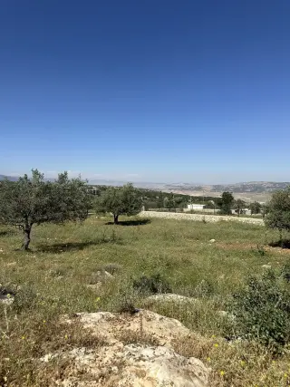 Land for sale in Other – photo 2