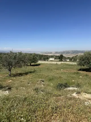 Land for sale in Other – photo 4