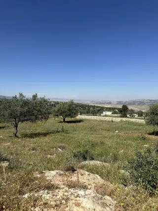 Land for sale in Other – photo 3