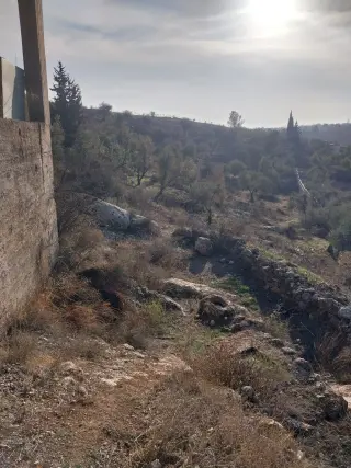 Land for sale in Other – photo 12
