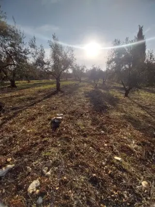 Land for sale in Other – photo 6