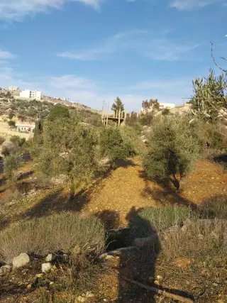 Land for sale in Other – photo 5