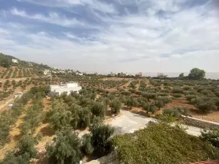 Land for sale in Al Saro – photo 8