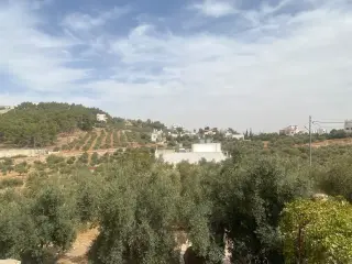 Land for sale in Al Saro – photo 5