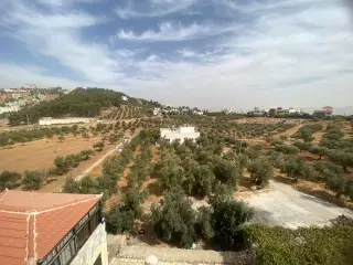 Land for sale in Al Saro – photo 6