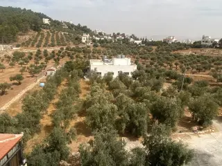 Land for sale in Al Saro