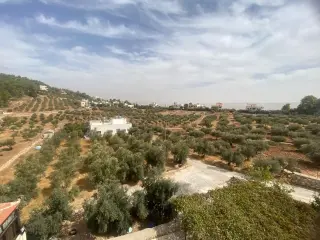Land for sale in Al Saro – photo 9