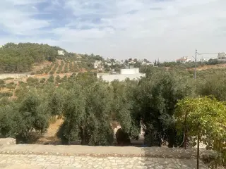 Land for sale in Al Saro – photo 7