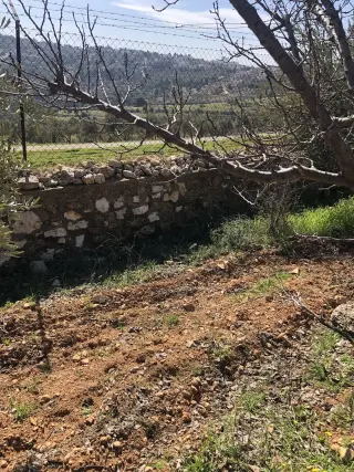 Land for sale in Zay – photo 4