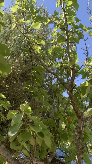 Land for sale in Zay – photo 19