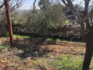 Land for sale in Zay – photo 3