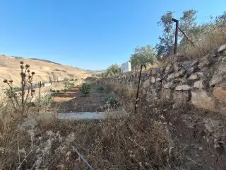 Land for sale in Jala'd – photo 5
