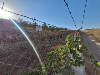 Land for sale in Jala'd – photo 8