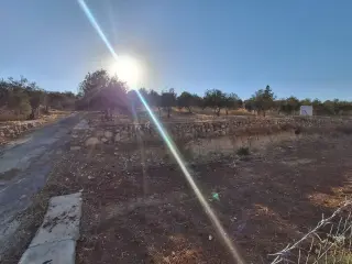 Land for sale in Jala'd – photo 10