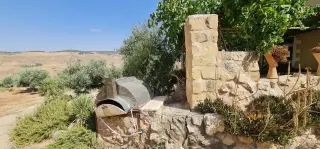 Land for sale in Jala'd – photo 9