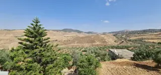 Land for sale in Jala'd – photo 5