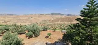 Land for sale in Jala'd – photo 2