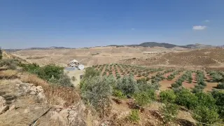 Land for sale in Jala'd