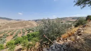 Land for sale in Jala'd – photo 3