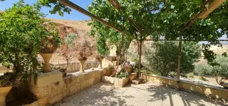 Land for sale in Jala'd – photo 11