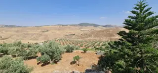 Land for sale in Jala'd – photo 4