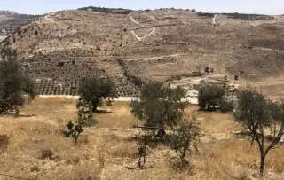 Land for sale in Al Maghareeb – photo 2