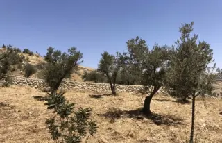 Land for sale in Al Maghareeb – photo 9