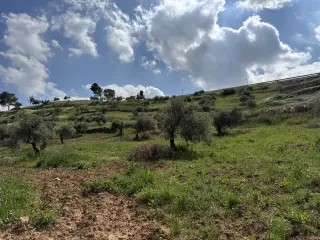 Land for sale in Seehan – photo 9