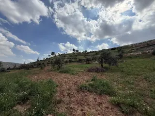 Land for sale in Seehan – photo 5