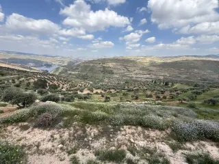 Land for sale in Seehan – photo 4