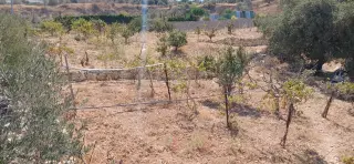 Land for sale in Kafr Hooda