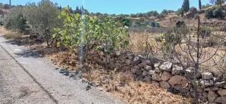 Land for sale in Kafr Hooda – photo 5
