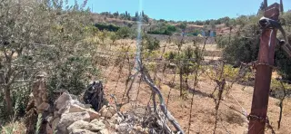 Land for sale in Kafr Hooda – photo 9